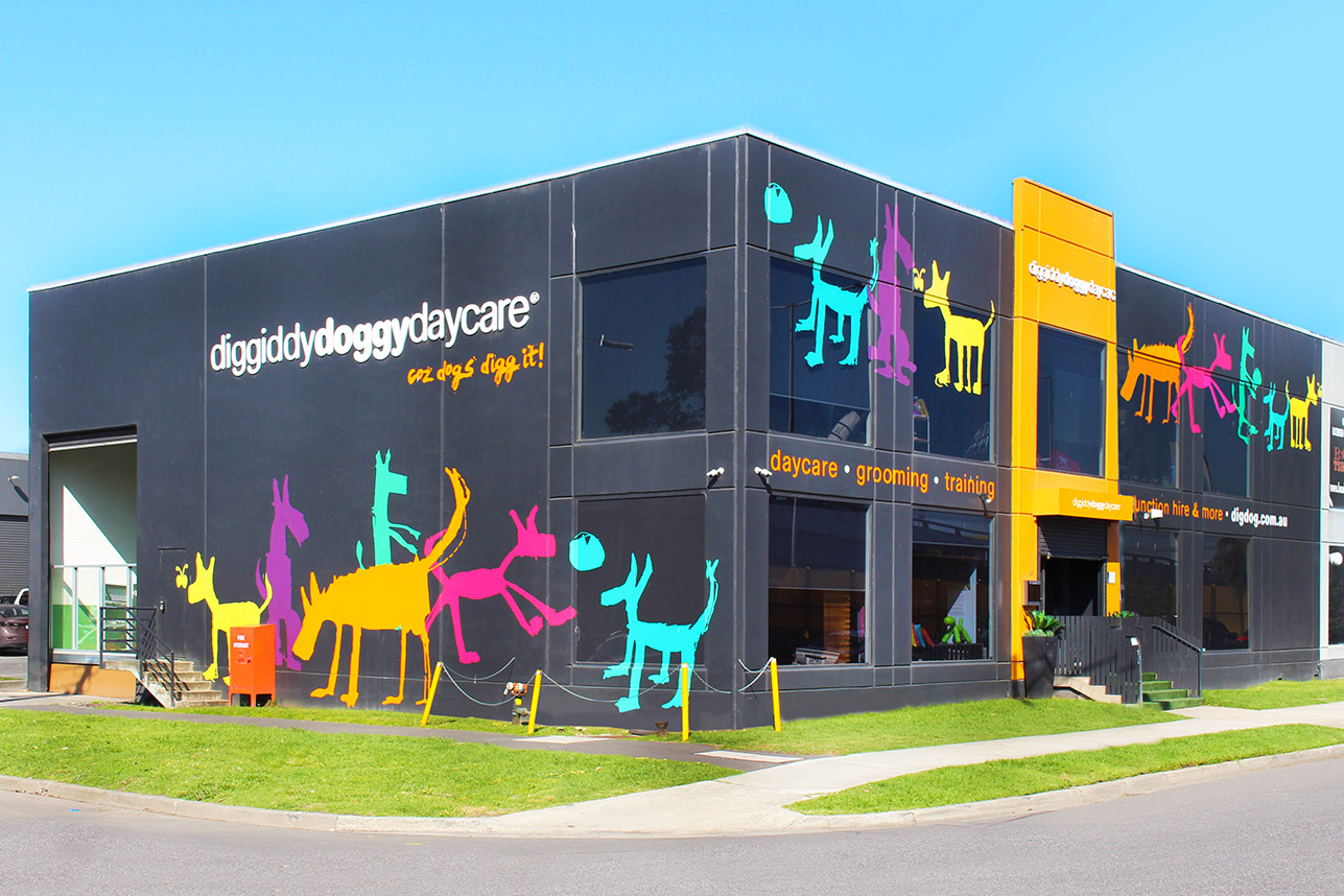 doggy daycare in South Melbourne diggiddydoggydaycare