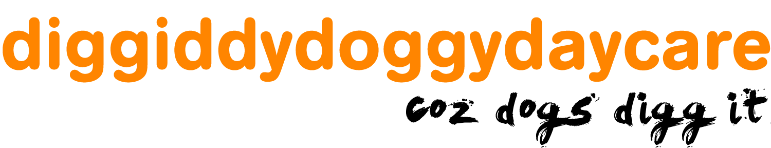 Diggiddydoggydaycare Header1