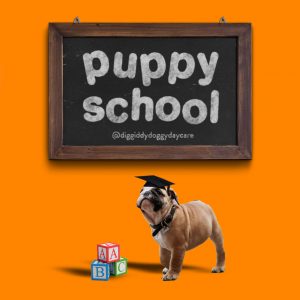 puppy school social media